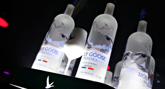 GREYGOOSE (1)